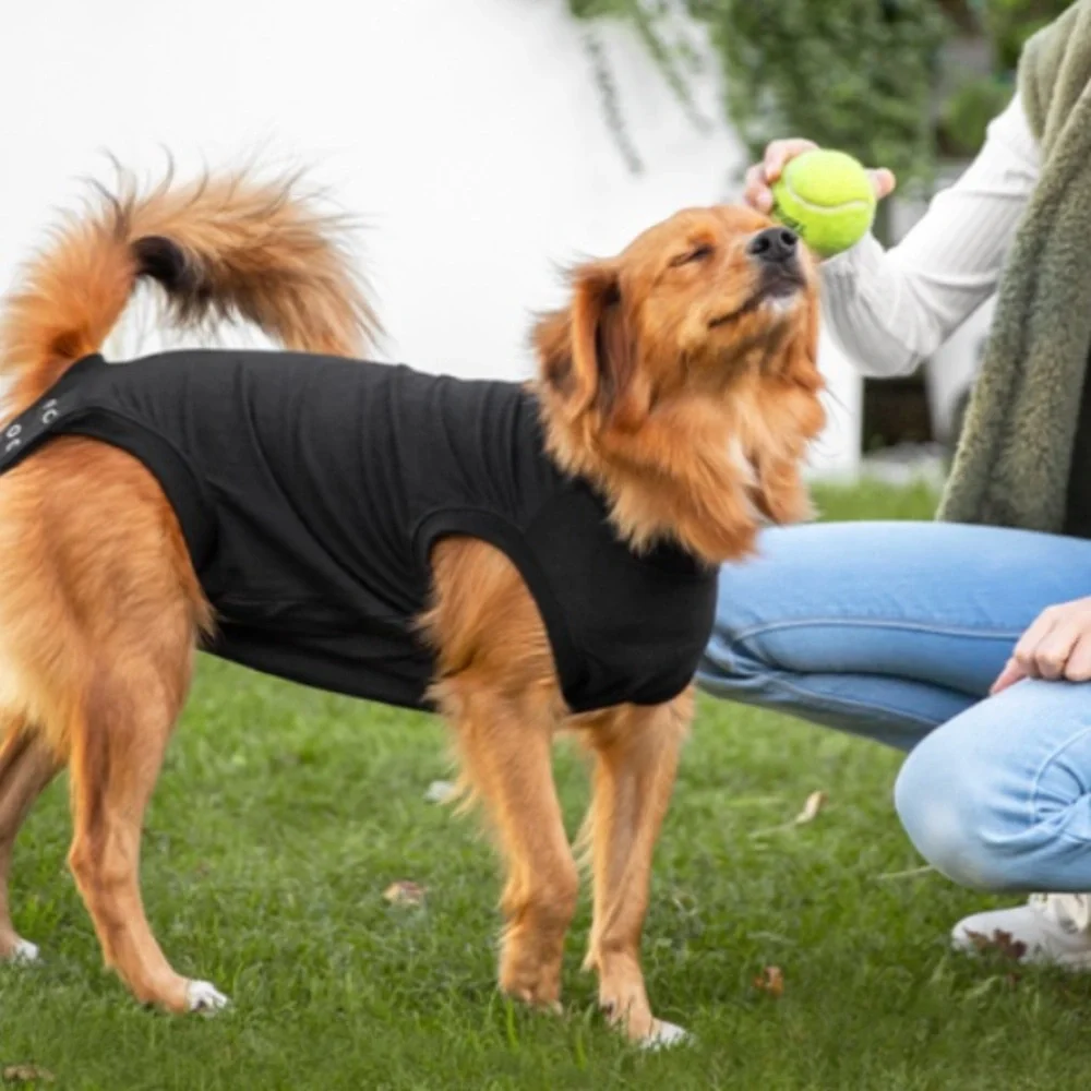Suitical for Dog Recovery Size Small